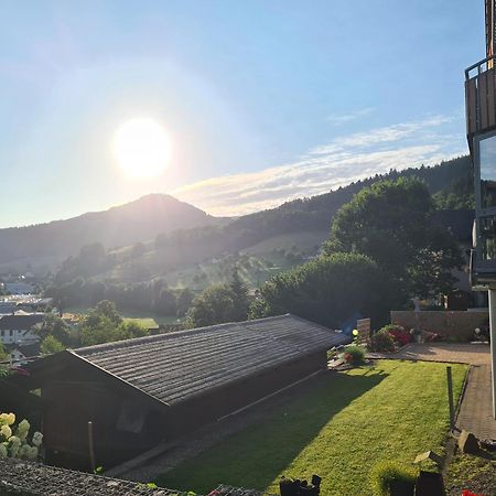 Ferienwohnung Schwarzwaldsteig Бад-Петерсталь-Ґрісбах Екстер'єр фото