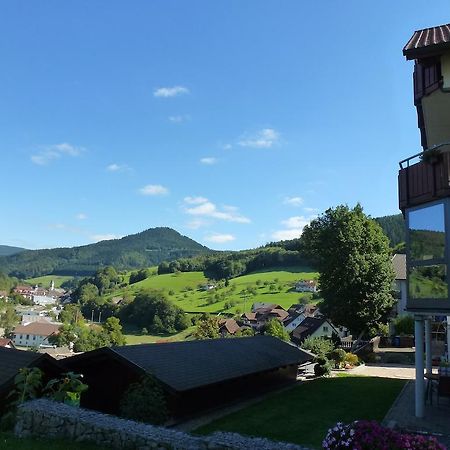 Ferienwohnung Schwarzwaldsteig Бад-Петерсталь-Ґрісбах Номер фото