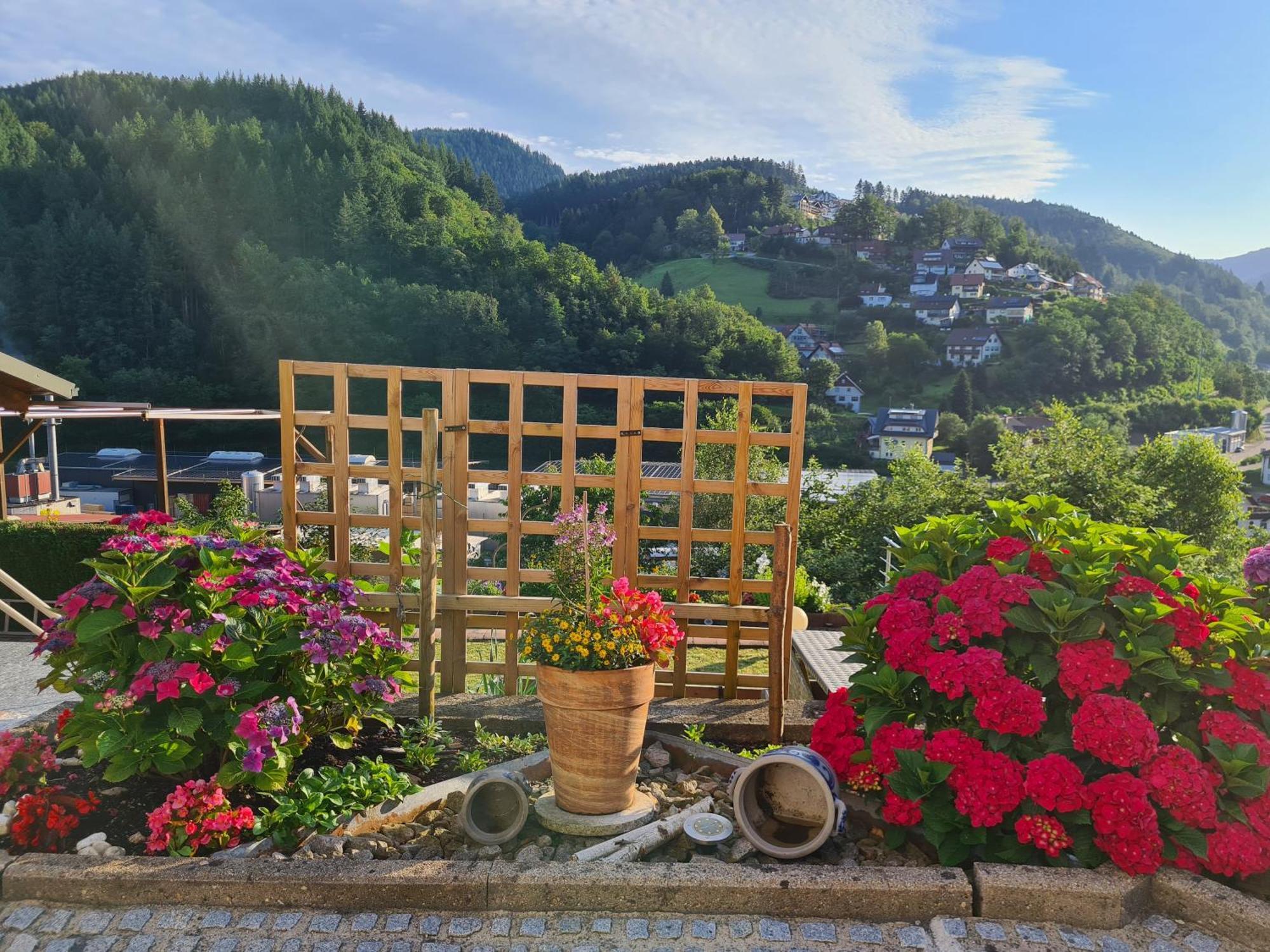 Ferienwohnung Schwarzwaldsteig Бад-Петерсталь-Ґрісбах Екстер'єр фото