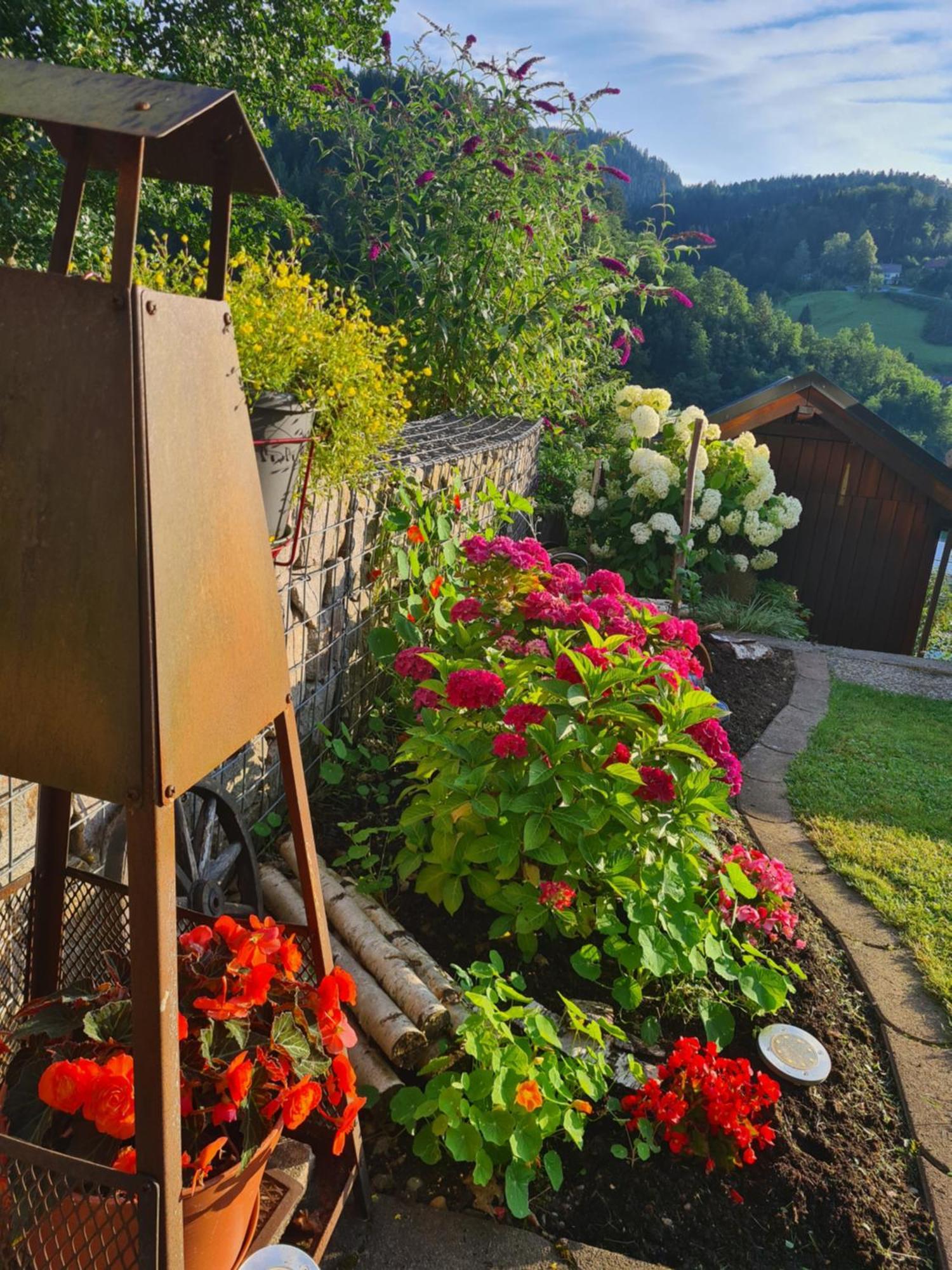 Ferienwohnung Schwarzwaldsteig Бад-Петерсталь-Ґрісбах Екстер'єр фото