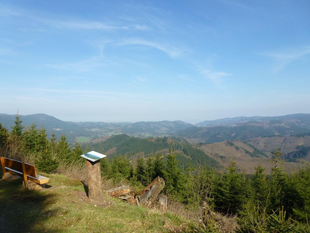 Ferienwohnung Schwarzwaldsteig Бад-Петерсталь-Ґрісбах Екстер'єр фото