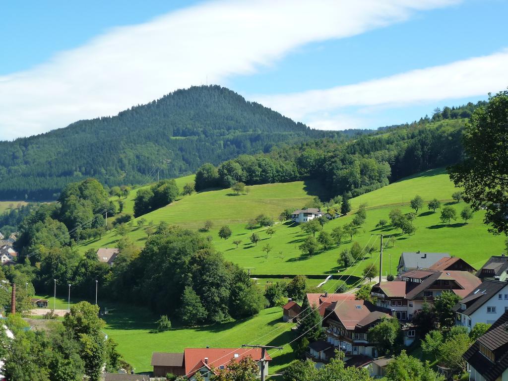 Ferienwohnung Schwarzwaldsteig Бад-Петерсталь-Ґрісбах Екстер'єр фото