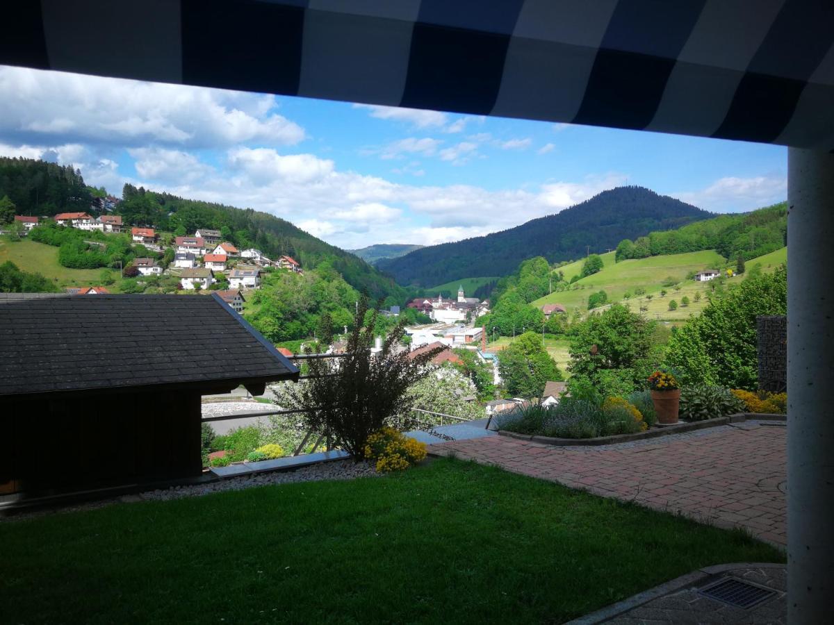 Ferienwohnung Schwarzwaldsteig Бад-Петерсталь-Ґрісбах Екстер'єр фото