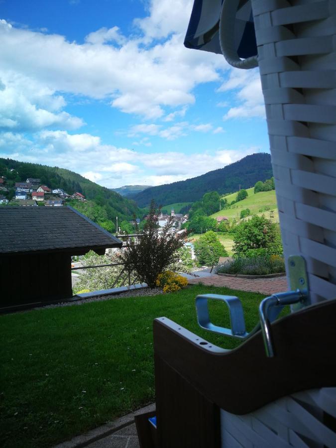 Ferienwohnung Schwarzwaldsteig Бад-Петерсталь-Ґрісбах Екстер'єр фото